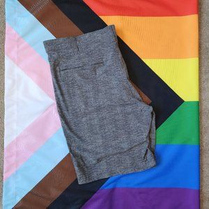 Eddie Bauer Horizon Guide 10" Chino Shorts 38 - Mens Performance Stretch (Grey)